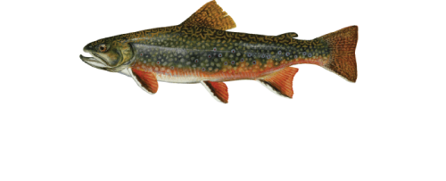 Alexander & Co: Legal Nurse Consulting